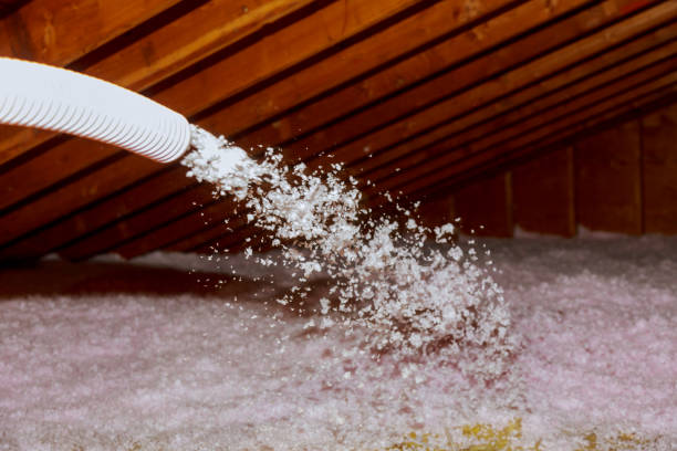 Best Insulation Maintenance and Repair in Torrington, WY