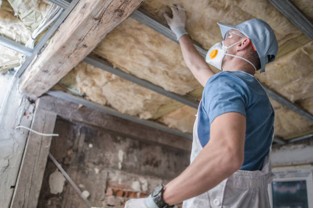 Types of Insulation We Offer in Torrington, WY